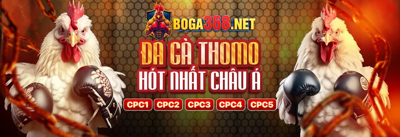 Sân đấu đá gà trực tuyến 123b sôi động